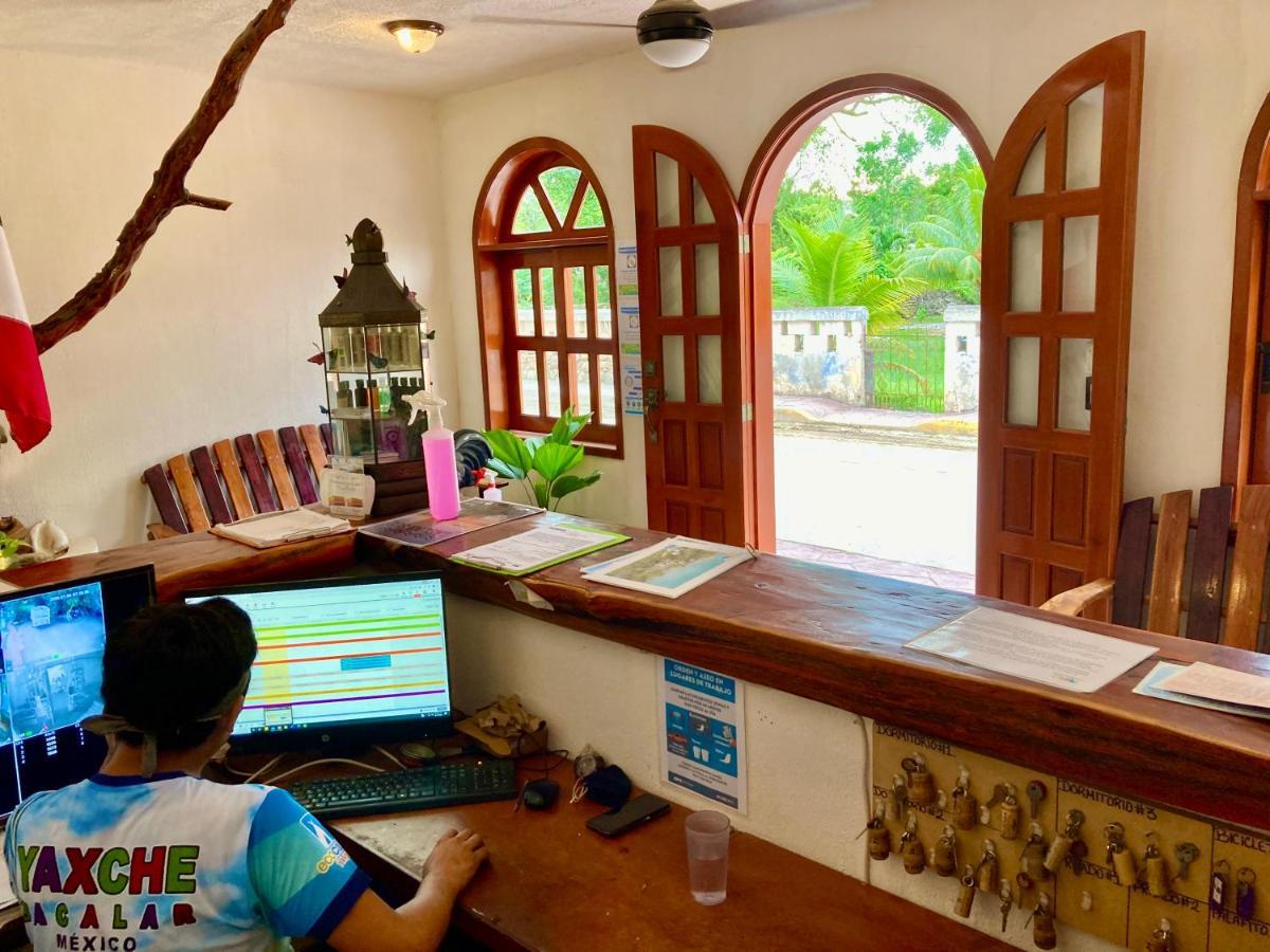 Yaxche Centro Hostal Y Camping Bacalar Ngoại thất bức ảnh