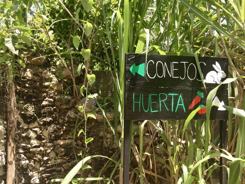 Yaxche Centro Hostal Y Camping Bacalar Ngoại thất bức ảnh